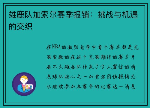 雄鹿队加索尔赛季报销：挑战与机遇的交织