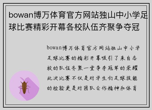 bowan博万体育官方网站独山中小学足球比赛精彩开幕各校队伍齐聚争夺冠军荣耀